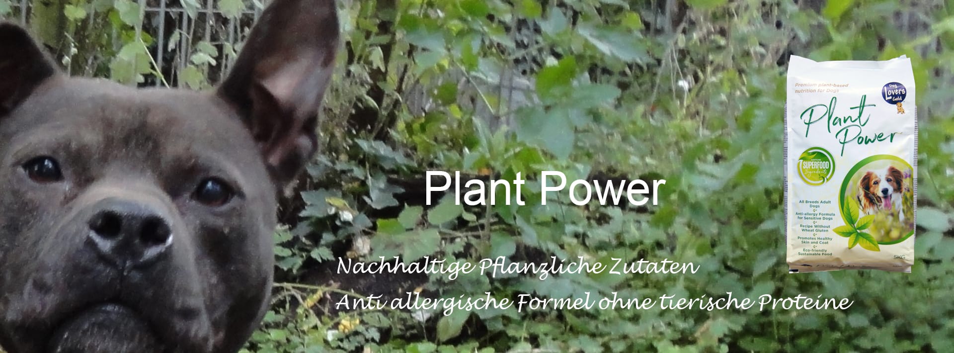 Timmy Plant Power - DE 1920x710