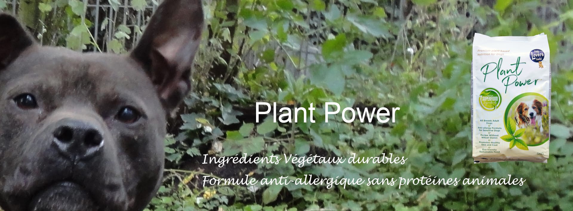 Timmy Plant Power - FR 1920x710