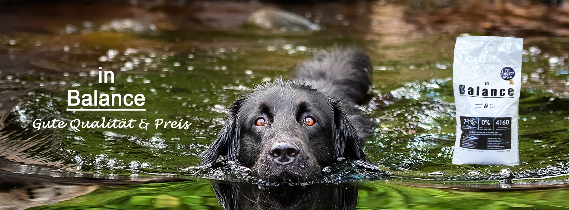 in Balance zwarte hond DE 1920x710